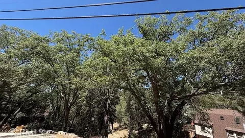 736 Dahlia Dr, Green Valley Lake, CA 92341
