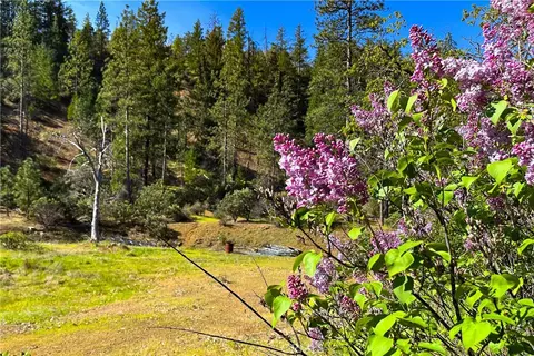 1271 Lake, Junction City, CA 96048