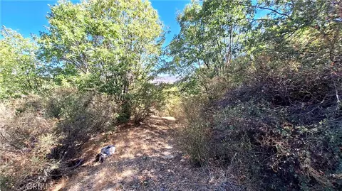 0 Coulter, Cedar Glen, CA 92321 photo 3