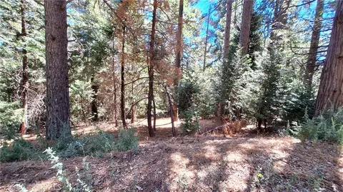 0 Cedar Pnes, Cedarpines Park, CA 92322 photo 2