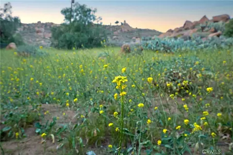 Other - 4227 Miramonte Pl, Riverside, CA 92501 photo 7 of 7