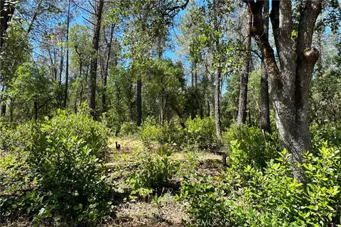 9200 Silver King Rd, Redding, CA 96001 photo 19