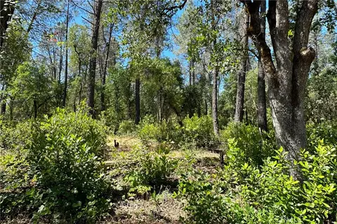 9200 Silver King Rd, Redding, CA 96001 photo 19