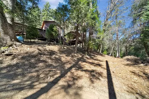 330 Canyon Dr, Cedarpines Park, CA 92322 photo 19