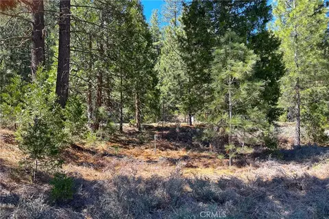 79402 State Highway 3, Trinity Center, CA 96091 photo 26