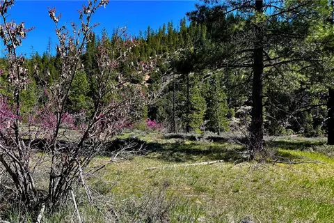 79402 State Highway 3, Trinity Center, CA 96091 photo 20