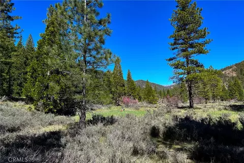 79402 State Highway 3, Trinity Center, CA 96091 photo 15