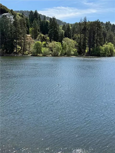 View/Area - 785 County Dr, Crestline, CA 92325 photo 2 of 7
