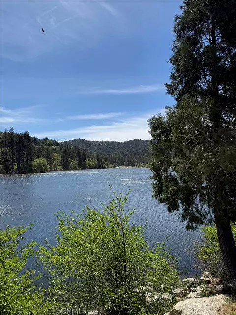 View/Area - 785 County Dr, Crestline, CA 92325 photo 6 of 7