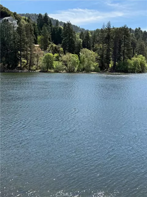 View/Area - 785 County Dr, Crestline, CA 92325 photo 2 of 7