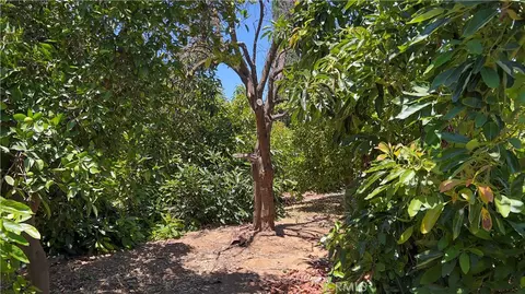 8715 Dufferin, Riverside, CA 92504 photo 33