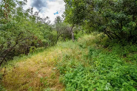 7266 Tranquil Dr, Tujunga, CA 91042 photo 15