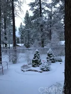 Exterior - 1004 Wendy Ave, Big Bear City, CA 92314 photo 12 of 14