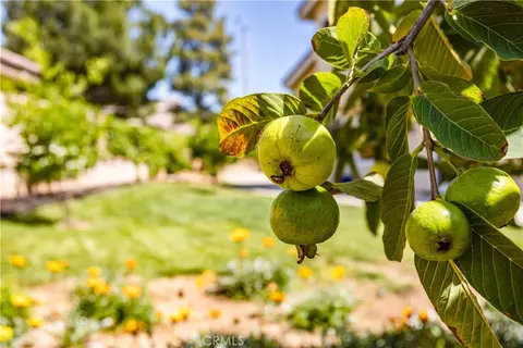 Exterior - 282 Port Royal, Riverside, CA 92506 photo 5 of 10