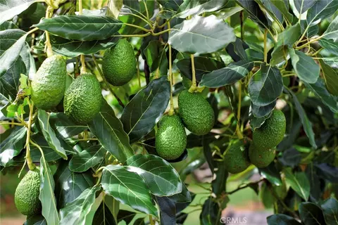 Other - 9609 Equestrian Dr, Riverside, CA 92503 photo 17 of 17