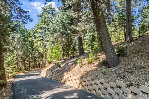 Other - 899 Blueridge Dr, Skyforest, CA 92385 photo 15 of 19