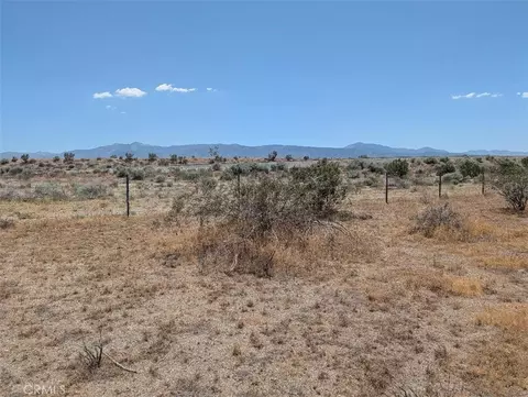 123 Dos Palmas, Pinon Hills, CA 92372