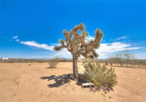 Other - 55525 Ornelas Ln, Landers, CA 92285 photo 15 of 20