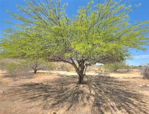 Other - 55525 Ornelas Ln, Landers, CA 92285 photo 16 of 20