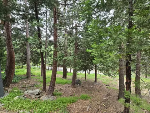 Exterior - 26058 Fire Hall Loop, Twin Peaks, CA 92391 photo 7 of 13