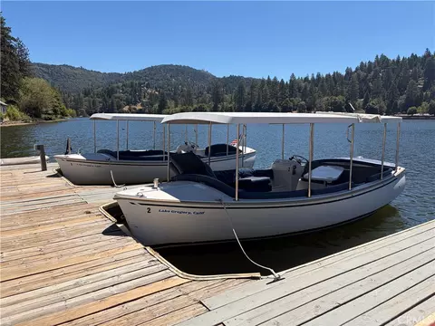 Other - 22198 Pine Dr, Cedarpines Park, CA 92322 photo 11 of 11