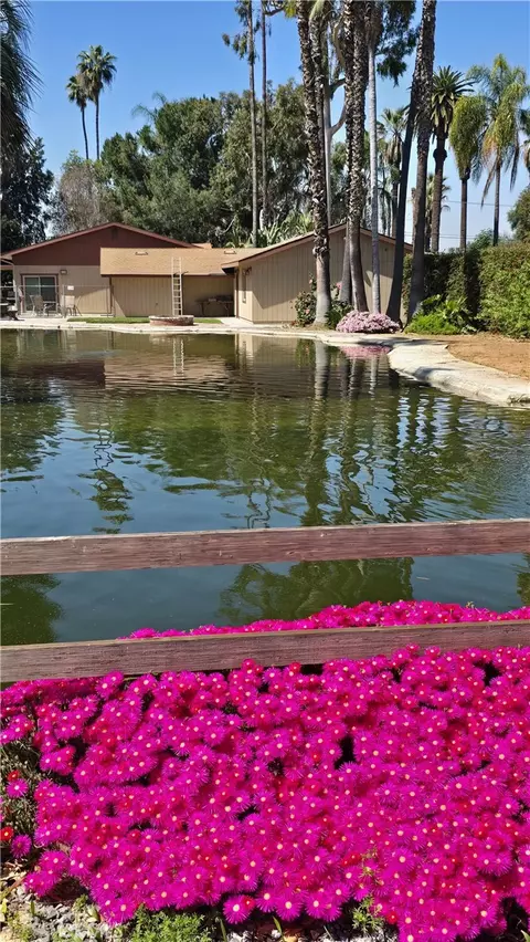 View/Area - 2083 Grace, Riverside, CA 92504 photo 5 of 5