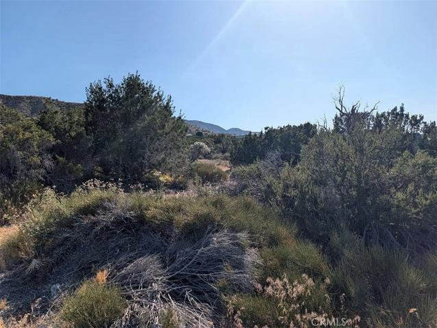 8 Mountain Rd, Pinon Hills, CA 92372