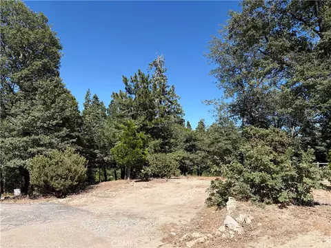 246 Chipmunk, Twin Peaks, CA 92391 photo 9