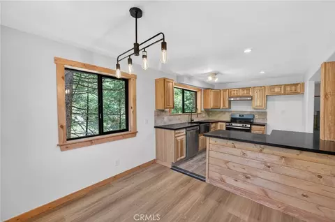 567 Maple Dr, Cedar Glen, CA 92321 photo 44