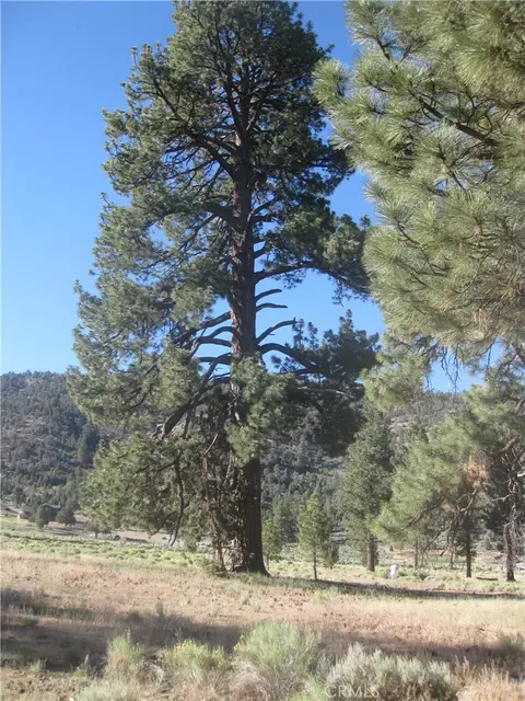 2824 Erwin Ranch Rd, Big Bear City, CA 92314