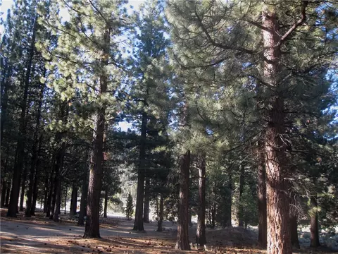 2818 Erwin Ranch Rd, Big Bear City, CA 92314