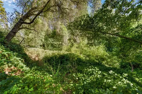 961 Estey, Placerville, CA 95667 photo 5