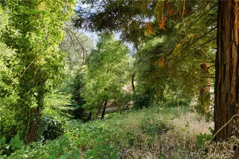 961 Estey, Placerville, CA 95667 photo 19