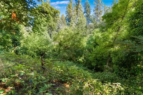 961 Estey, Placerville, CA 95667 photo 13