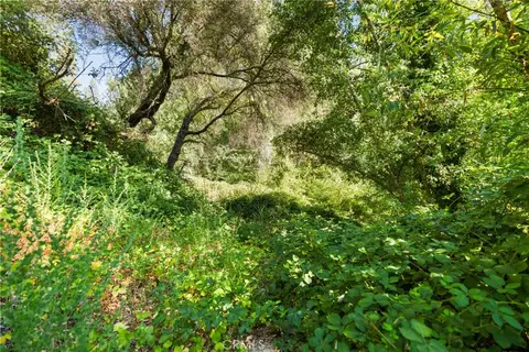961 Estey, Placerville, CA 95667 photo 17