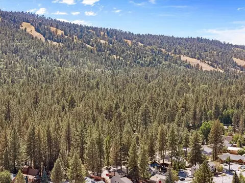 View/Area - 42795 Cougar, Big Bear Lake, CA 92315 photo 7 of 7