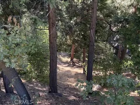 Exterior - 27917 Squirrel Ln, Lake Arrowhead, CA 92352 photo 10 of 11
