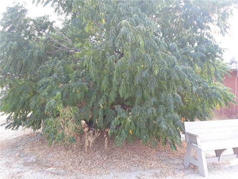 9044 Navajo, Morongo Valley, CA 92256 photo 1