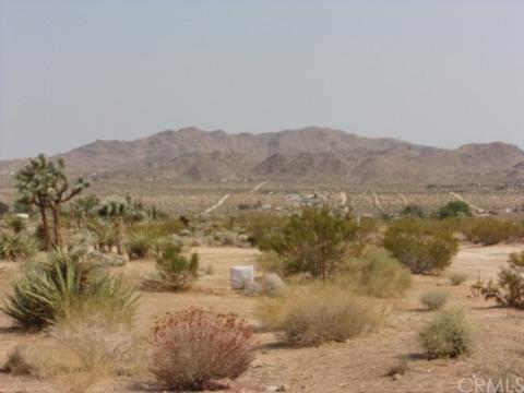 7138 Juniper Rd, Joshua Tree, CA 92252 photo 1