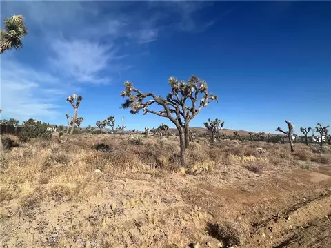 111 Wallaby, Yucca Valley, CA 92284