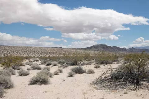 1851 Sunever Rd, Joshua Tree, CA 92252 photo 17