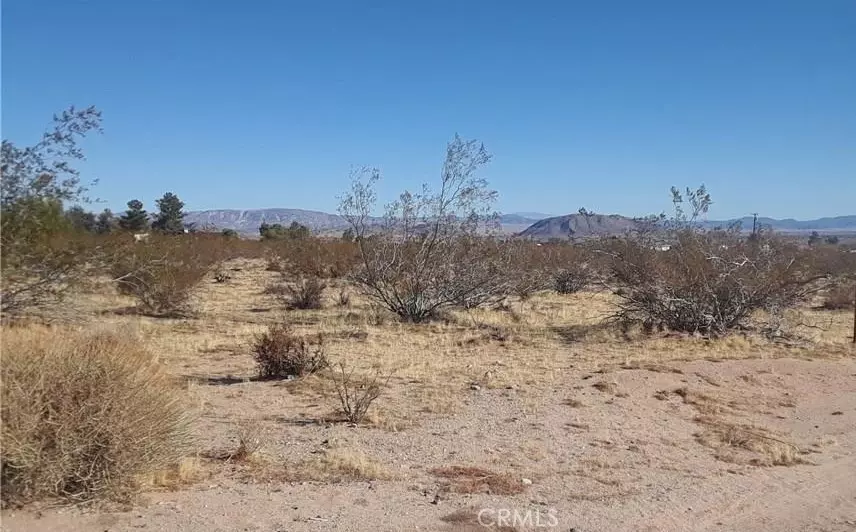  345 Deer Trl, Yucca Valley, CA 92284 photo 5