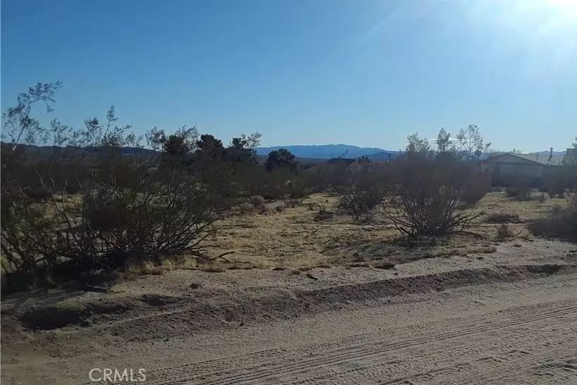  345 Deer Trl, Yucca Valley, CA 92284 photo 3