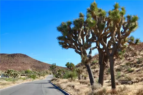 56448 Skyline Ranch Rd, Yucca Valley, CA 92284