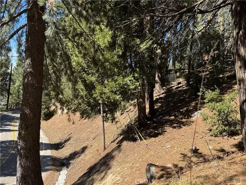 0 North Rd, Twin Peaks, CA 92391