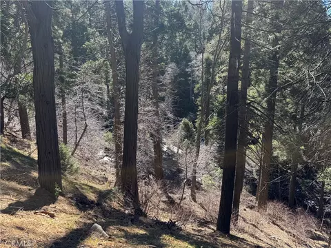 0 Sunderland Ct, Lake Arrowhead, CA 92352