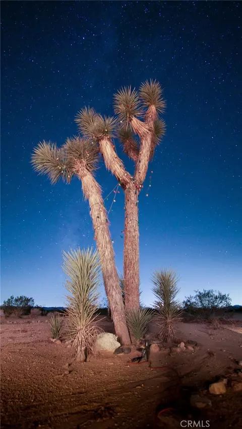 Other - 66750 Pole Line Rd, Joshua Tree, CA 92252 photo 8 of 8