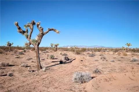 0 Olympic Rd, Joshua Tree, CA 92252 photo 20