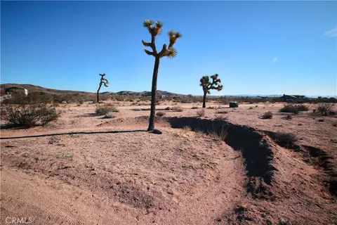 0 Olympic Rd, Joshua Tree, CA 92252 photo 19