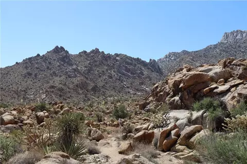 62070 Easterly Pl, Joshua Tree, CA 92252 photo 6